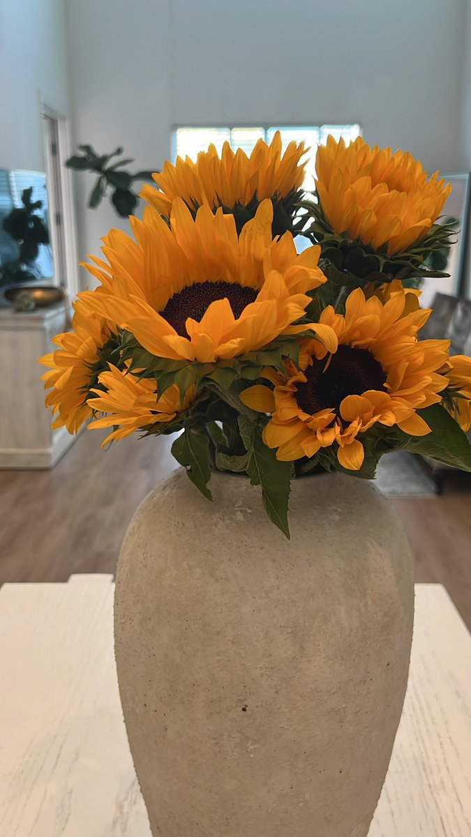 PrettyVibesky's tweet photo. Buying flowers for your girl just because is real game. Don’t get me wrong, I love expensive gifts and money. Flowers are the icing on the cake ♥️ https://t.co/ASQCEEVI6e
