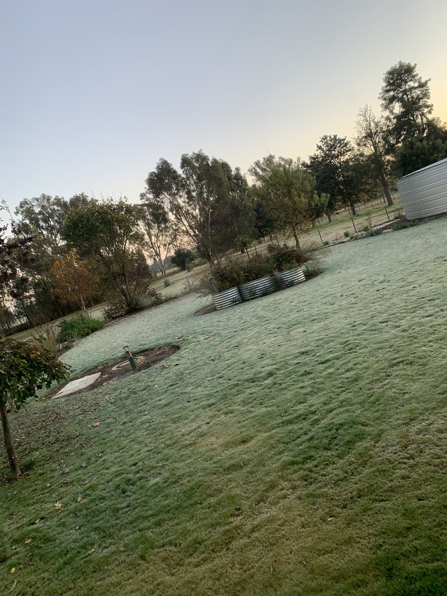 Yankee_Liz's tweet photo. It’s a bit chilly on the farm this morning. #farm #frost #nevictoria https://t.co/yvxe5bYzE1