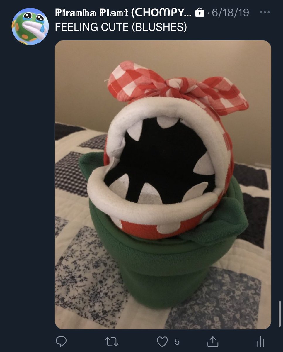 STILL FEELING CUTE (BLUSHES)