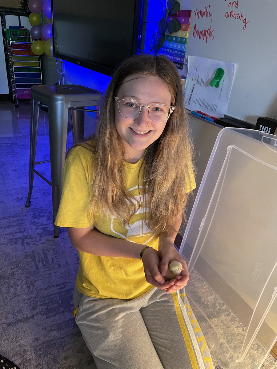 Ball5th's tweet photo. Our sweet little chicks went to their new home today! Thank you Mrs. Green for giving us the opportunity to hatch eggs in the classroom. This was such a fun and educational experience, we loved it!! #rowva #rowvastrong https://t.co/T8rfT0Dwfa