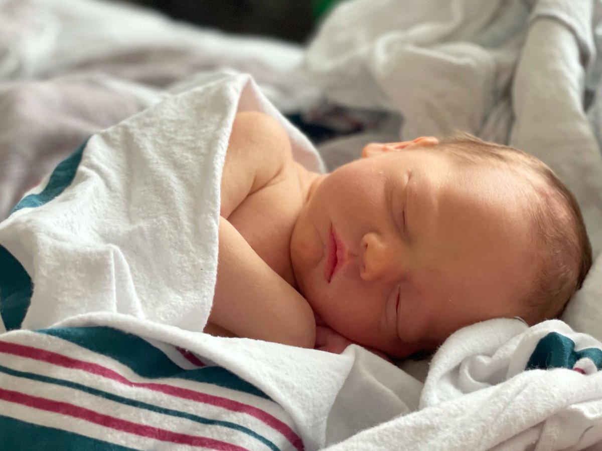 blair brothers tweet media