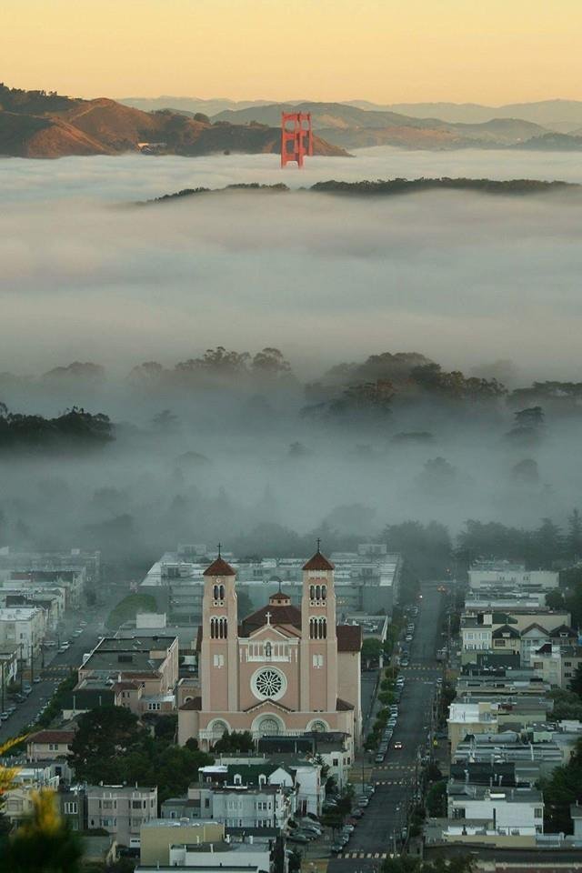 FreshRoasters's tweet photo. ☁🌉 My Neighborhood #InnerSunset #SanFrancisco ⭐🌟🌟 https://t.co/H1cH66V2au