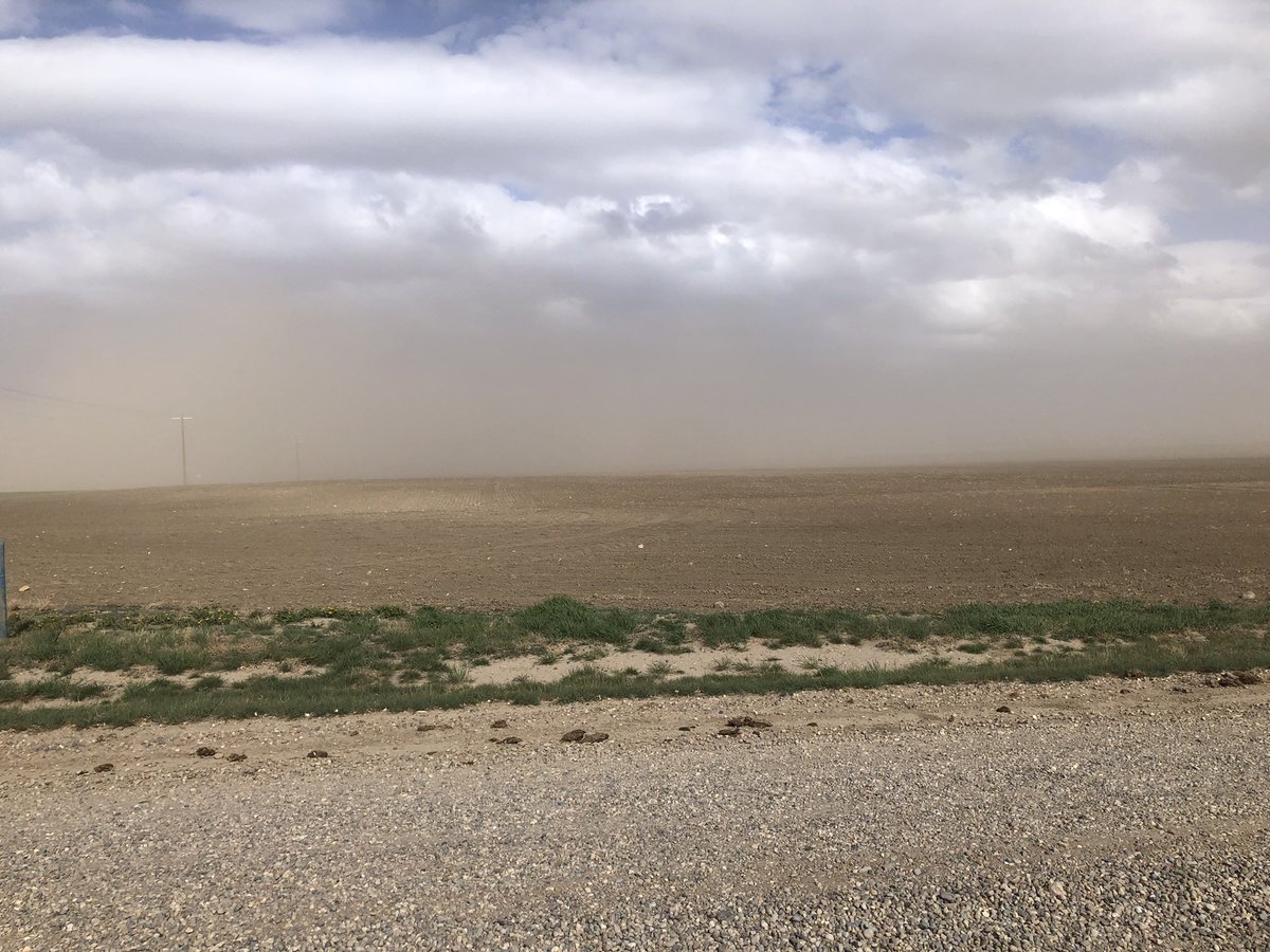 Ross McKenzie tweet media