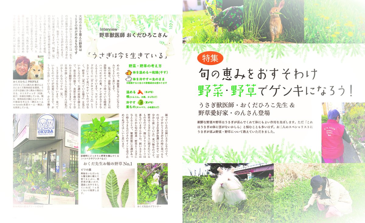 うさぎと暮らす 編集部 Usakurastaff Twitter