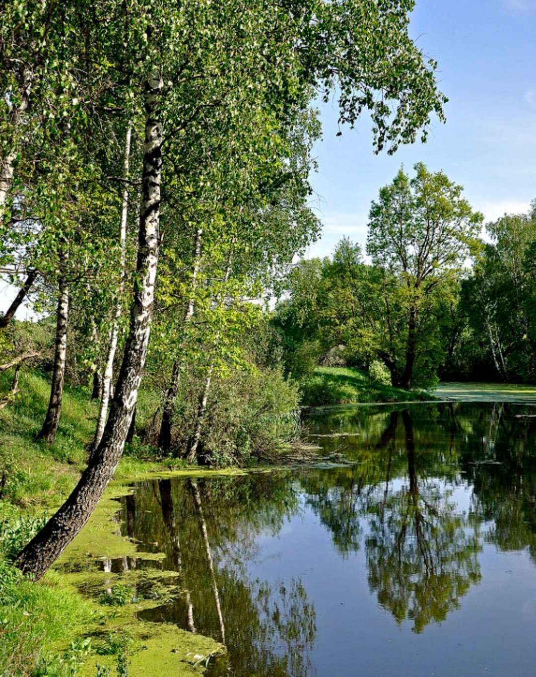 Пейзажи Подмосковья