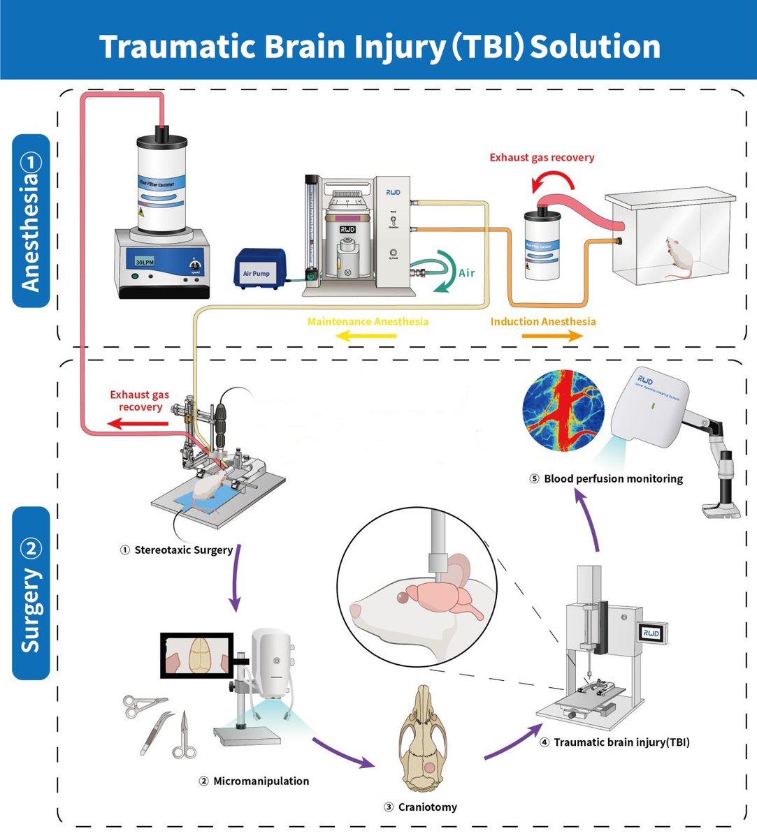 steven82514349's tweet photo. Check out RWD solution for the #TBI experiment. From animal anesthesia, surgery procedures to TBI model development.  

learn more: https://t.co/Qbgg0bvAwc
 
#animalmodel #ratmodel #micemodel #SCI #lifescience https://t.co/0oORak3BGo