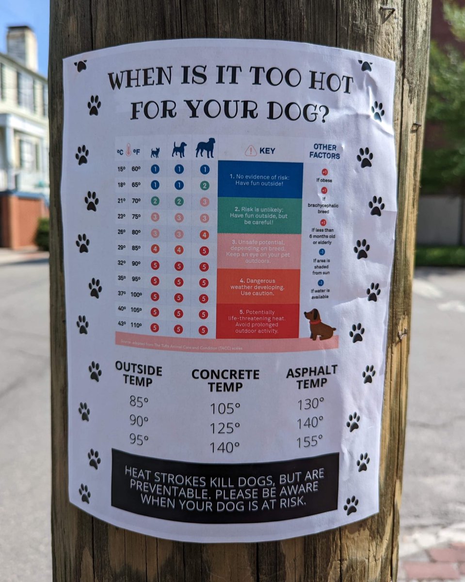 🐾 nice reminder for us pups 🐾