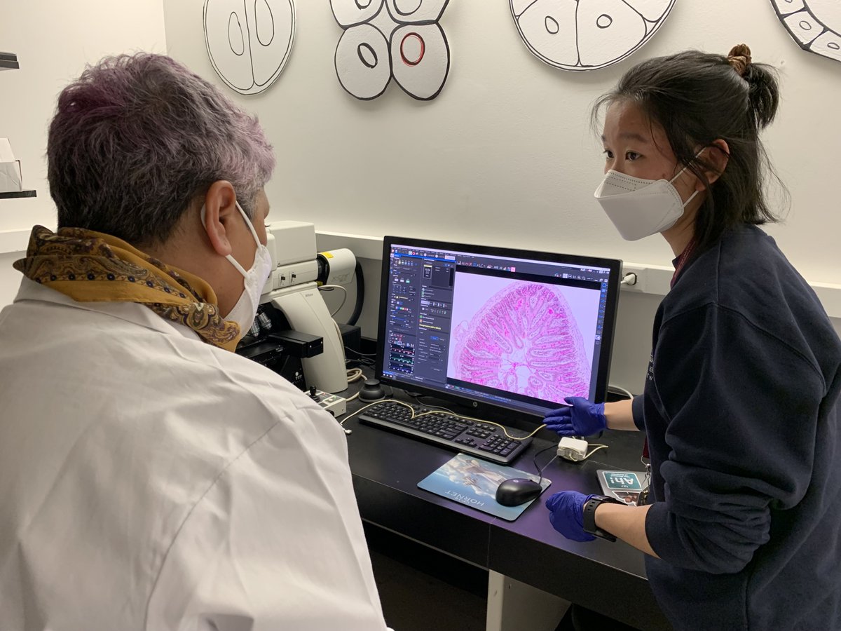 aoc_study's tweet photo. Who doesn't love #histology?! 🔬🦠 Thank you to our artists in residence for the wonderful lab visits so far! #SciComm #artofcreation https://t.co/5FAXwA6NGJ