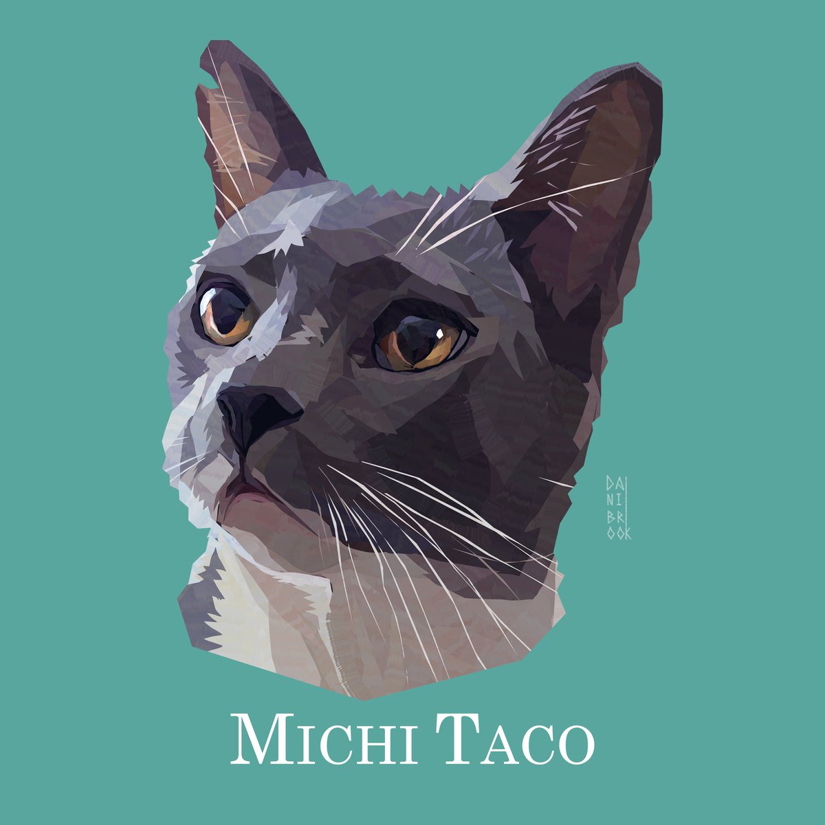 Mi bebé Michi Taco hecho ilustración🐱❤️🌮
#cats