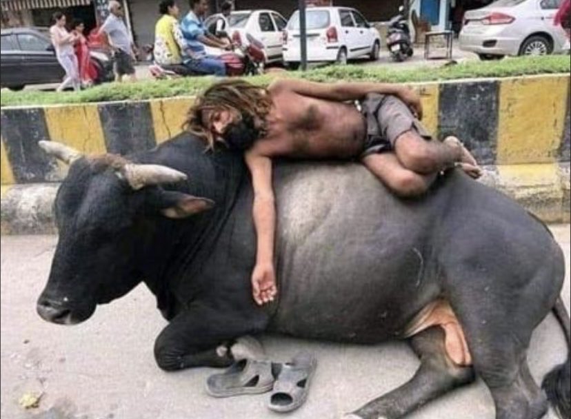 PAVLeader's tweet image. Caption this!