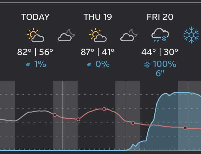 Gardening in Colorado 🤦‍♀️
