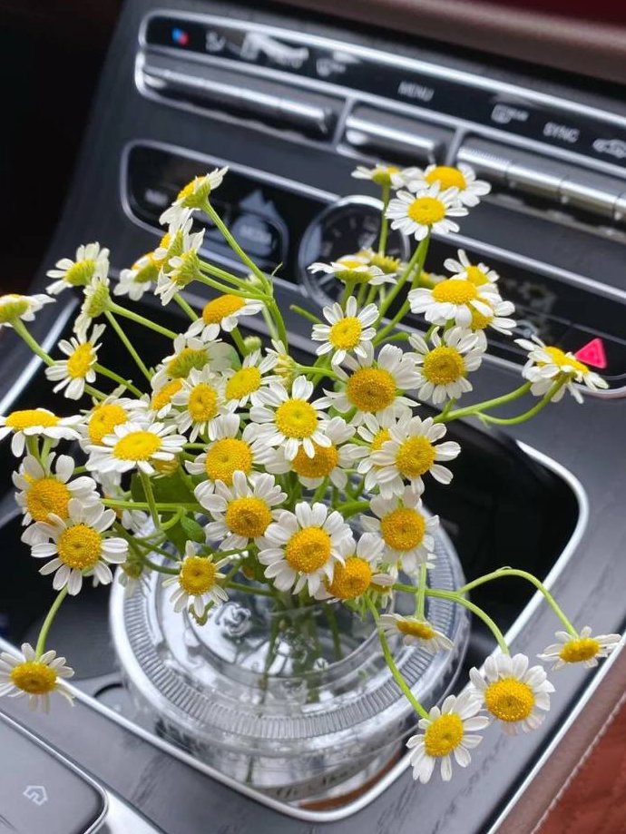 一个是还没开始割，一个是正在割。

或者说，一个正在种植期间，一个正在收获期间。