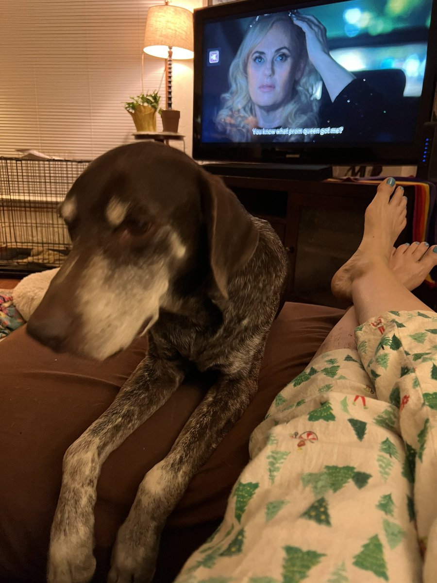meeplty's tweet photo. @KimmyMonte He likes Rebel!! https://t.co/dm4mNBBrUp