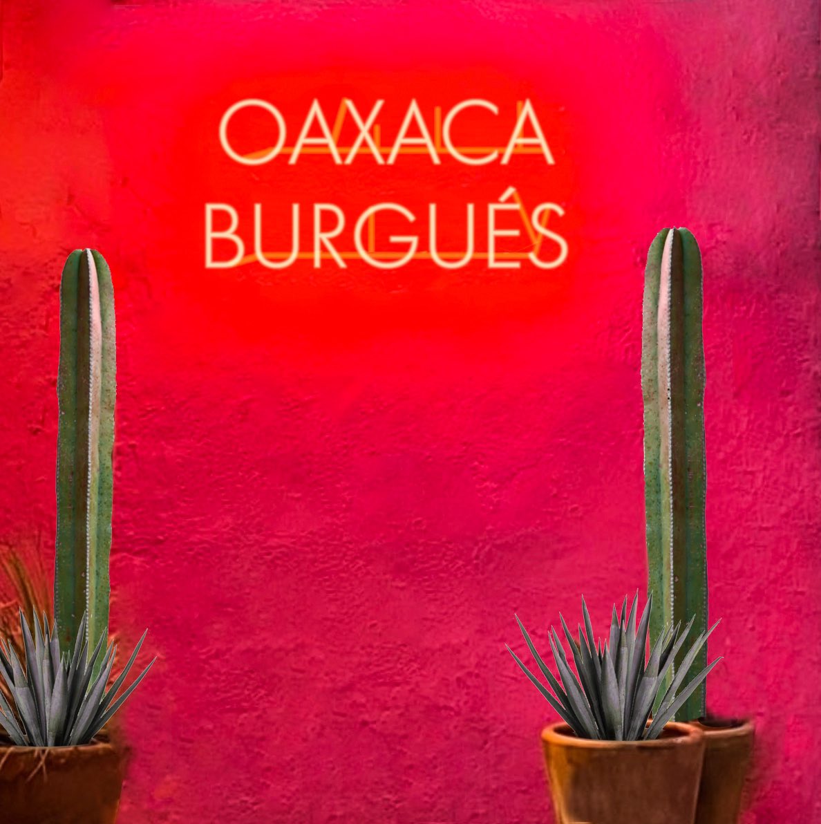 Esta es SOLO una cara de Oaxaca.