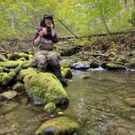 Photo by sally sorts stoneflies by the streamside (@scisally)