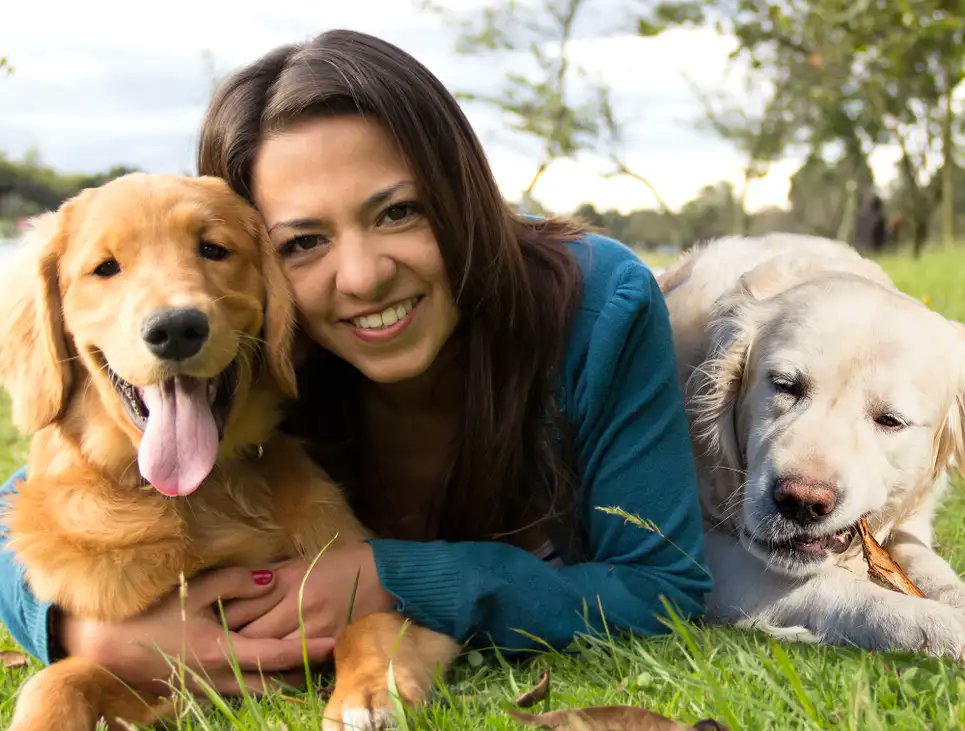 TheOnion's tweet photo. Woman 7 Golden Retrievers Short Of Childhood Vision https://t.co/xRMM26vT4F https://t.co/3ddIKQ9gaf
