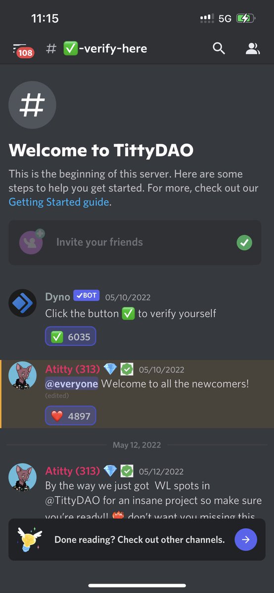 Max SOLnella tweet media