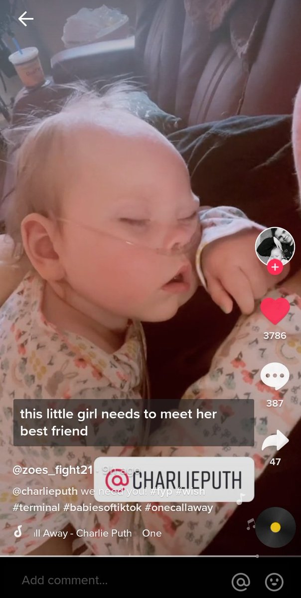 CRASHVN's tweet photo. HEY can yall tag charlie under this tiktok. @charlieputh if you are seeing this, can you pls go check this tiktok. this baby is a big fan of you, she is terminally ill and is losing her hearing and vision. her mother wishes if you could meet her before anything happens to her:( ? https://t.co/ulY2inhnPT