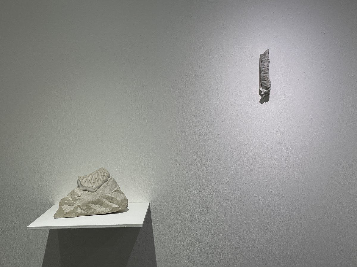 jinengallery's tweet photo. 本日も19時迄営業中☀️🤩
2022年5/17(火)〜5/29(日)
【A室】#岡野奏恵 展 - Missing-link -
【B室】#枝元郁 展 - #untitled -
#art #contemporaryart #stonecarving #papermodeling #kanaeokano #kaoruedamoto #missinglink #石彫 #大理石 #生物 #立体 #堆積 #古書 #集積 #日本橋 #小伝馬町 #馬喰町 https://t.co/koQT2YVDVQ