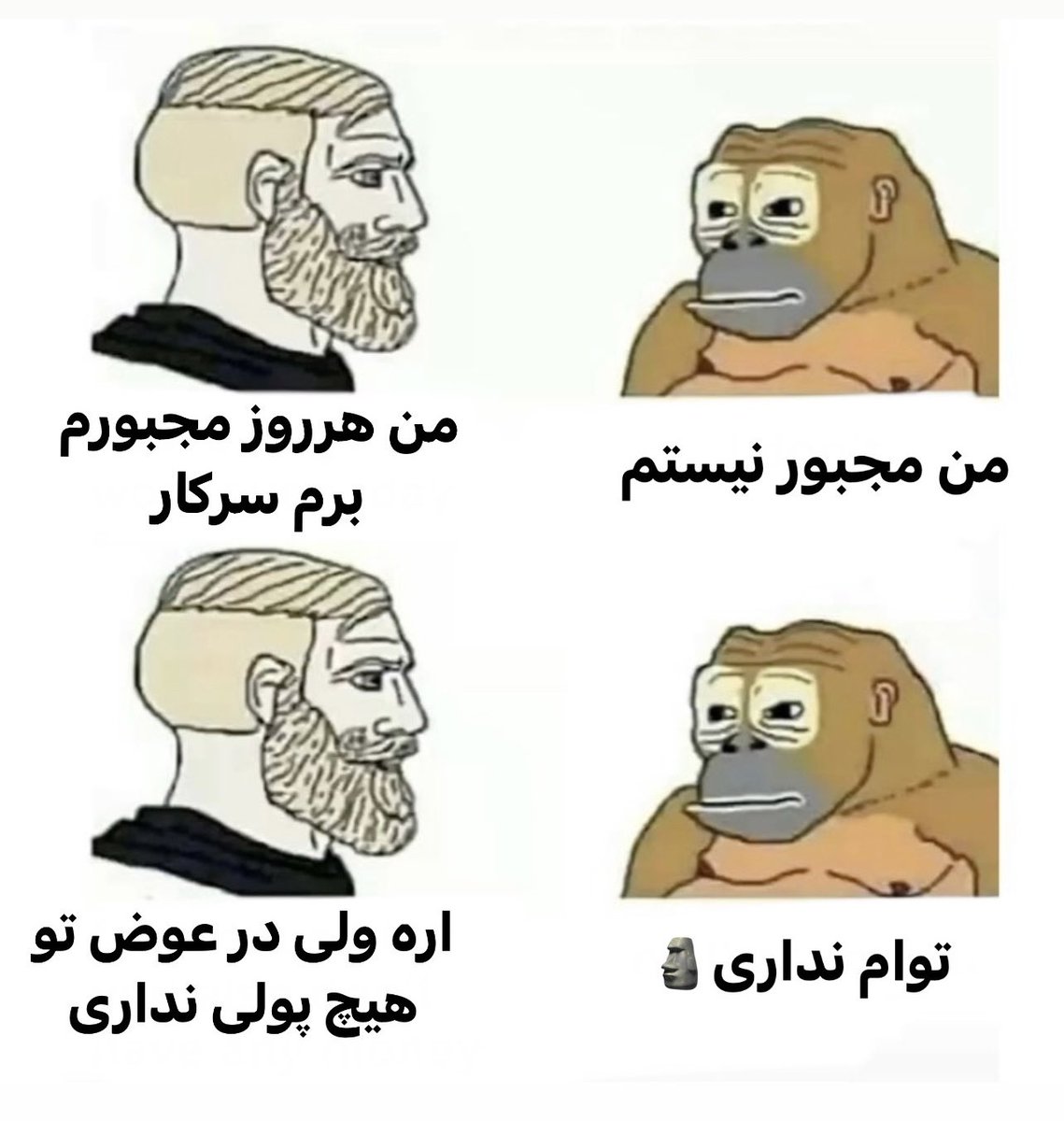 داشَـلـی tweet media