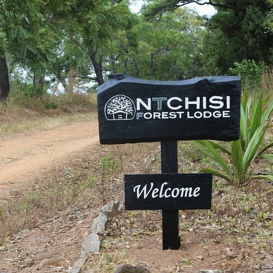 malawigirlsrock's tweet photo. #travelthursdays🌏✈️🇲🇼

Ntchisi Forest Lodge is a remote eco-lodge in a historial building in a rainforest location with the most stunning view in Malawi. 

#destinationmalawi 
#visitmalawi
#warmheartofafrica 
#mymalawi https://t.co/zSE0twxFi1