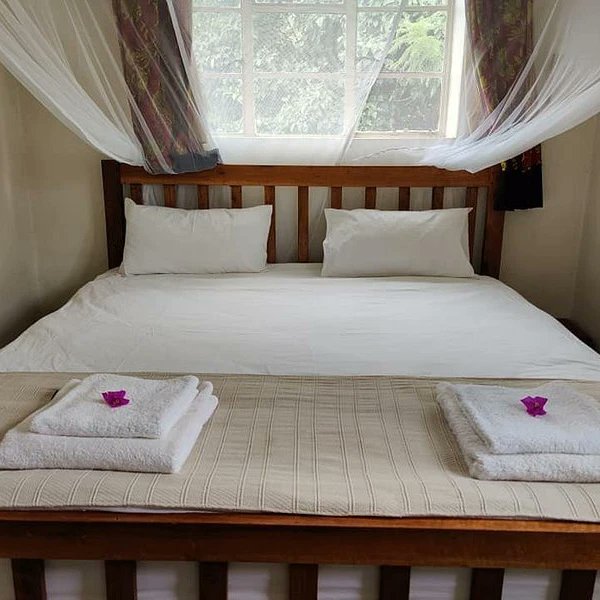malawigirlsrock's tweet photo. #travelthursdays🌏✈️🇲🇼

Ntchisi Forest Lodge is a remote eco-lodge in a historial building in a rainforest location with the most stunning view in Malawi. 

#destinationmalawi 
#visitmalawi
#warmheartofafrica 
#mymalawi https://t.co/zSE0twxFi1