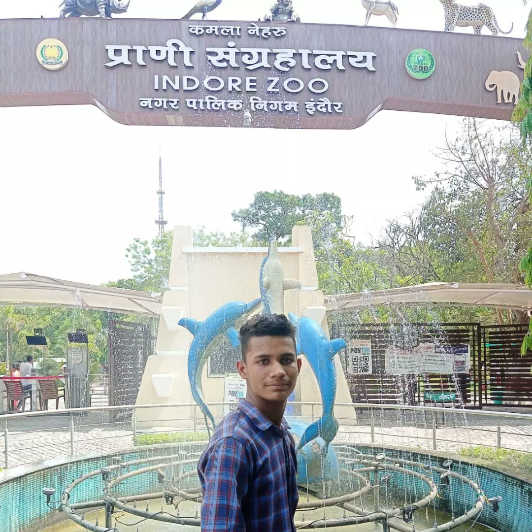 Mayankvy150's tweet photo. Today injoy
#indor 
#zoo
#kamlanehwlu https://t.co/Ok2mykQHfr