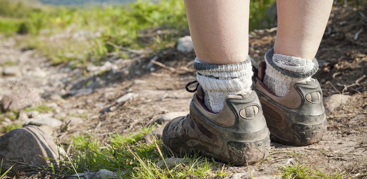 Get Involved with Citizen Science this spring &amp; summer - check out our project finder for ideas: tinyurl.com/4d7b4p97 #citizenscience