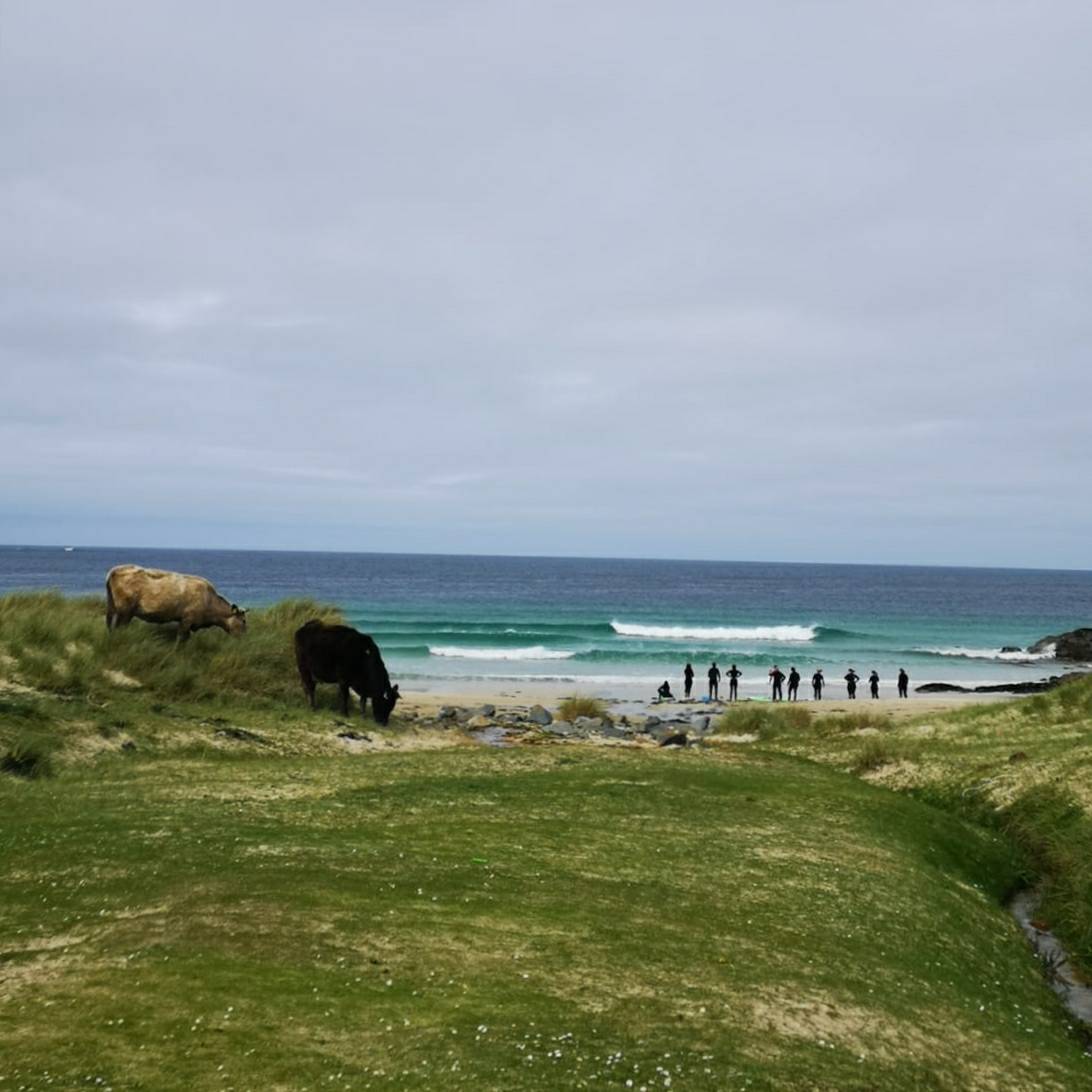 Real Adventures Connemara tweet media