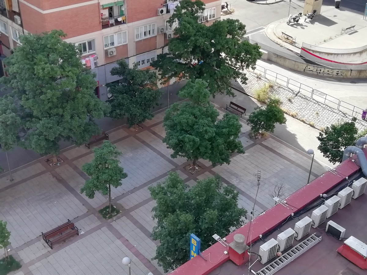 Mudayna's tweet photo. @menchuinidos @deteibols @MasfuencarralE @fuencarralpardo @PSOEfuencarral y más limpieza, control y vigilancia en la plaza trasera de Monforte de Lemos, 159...si os fijáis no son alcorques, son papeleras llenas de latas de cerveza... https://t.co/0Jd3yxS0tF