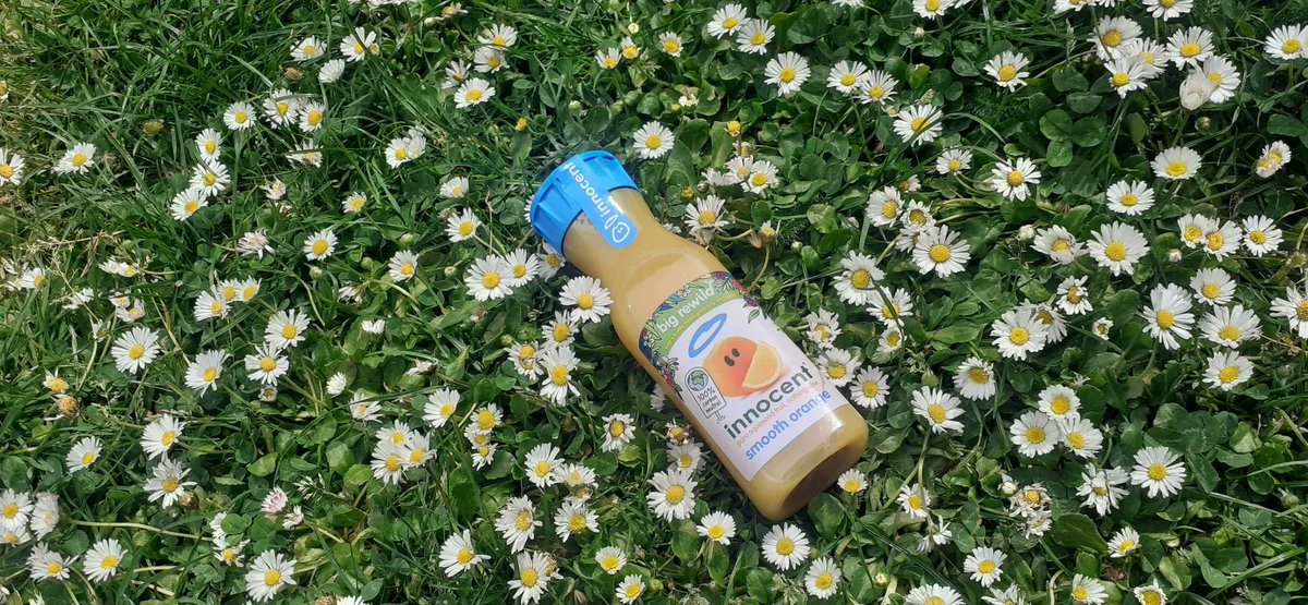 ProjectOrchard's tweet photo. Our pals @innocent have promised to help us plant a whopping 64,000 square metres of urban orchard as part of the #BigRewild campaign.
Find bottle bug B'n'Bee instructions, and more ideas about how to get involved at https://t.co/E2JdrPesU2 🐝🐜🐞🕷️ https://t.co/UN8tkzWKg5
