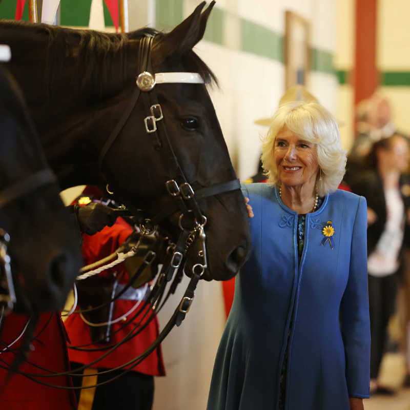RoyalFamily's tweet photo. 🇨🇦 On Day 2 of #RoyalVisitCanada The Prince of Wales and The Duchess of Cornwall were in Ottawa.

TRH laid a wreath at the National War Memorial, met members of the Ukrainian community, watched the @rcmpgrcpolice musical ride and celebrated The Queen’s #PlatinumJubilee.
