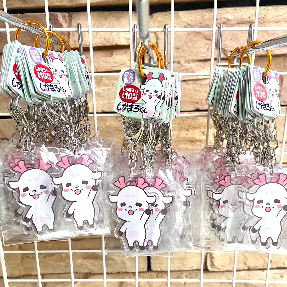 お疲れさまです❗️ 本日なんと、、しかまろくん10周年記念に『奈良市