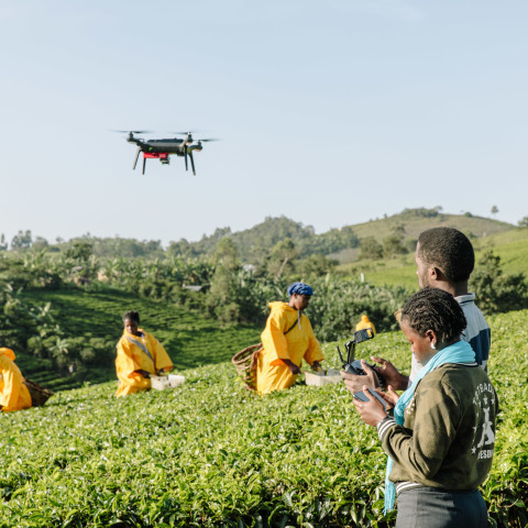 NamuliImmy's tweet photo. Uganda's 4 big sectors for income generation; 
1. Commercial agriculture
2. Industries  
3. Services (hotels, transport, professional services, shops, etc.) 
4. ICT https://t.co/B3tRYeaX9W