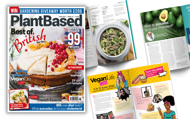 plantbasedmag's tweet photo. June issue on sale today! Cover features a beautiful Grapefruit Olive Oil Caked with Candied Grapefruit by @nourishingamy https://t.co/rg0lmC0lfT