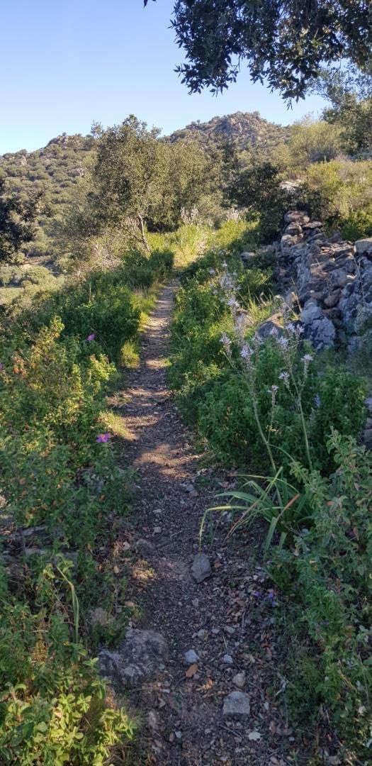 CCIRB's tweet photo. 🌿 𝗖𝗮𝗺𝗽𝗮𝗴𝗻𝗲 𝗱'𝗲𝗻𝘁𝗿𝗲𝘁𝗶𝗲𝗻 𝗱𝗲𝘀 𝘀𝗲𝗻𝘁𝗶𝗲𝗿𝘀 𝗶𝗻𝘁𝗲𝗿𝗰𝗼𝗺𝗺𝘂𝗻𝗮𝘂𝘅 🌿

 🌱Deux campagnes d'entretien des sentiers intercommunaux viennent de débuter. https://t.co/c7xtaSgCLp