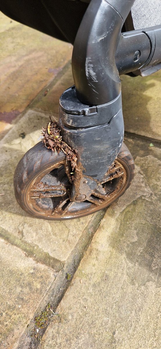 Freya Gilmore tweet media