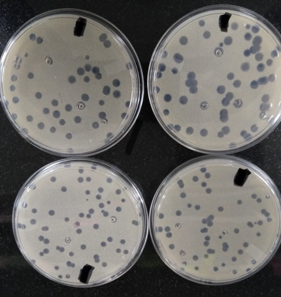 Varun Bavda, PhD tweet media