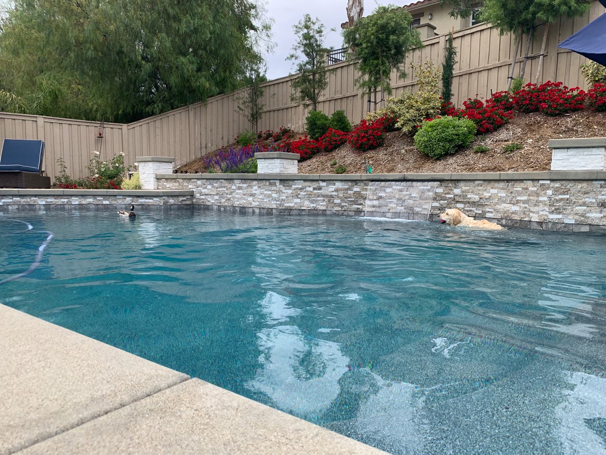 Joshua McGowan tweet media