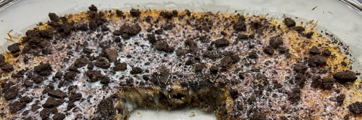 بسبوسة الاوريو اللي أذهلت اهل زوجي بطعمها وادمنووووها 
أفضل من اي محل حلويات بمليون مرة  
الوصفة في قناتي ع اليوتيوب 
اسم قناتي 
مطبخ شيف إلهام