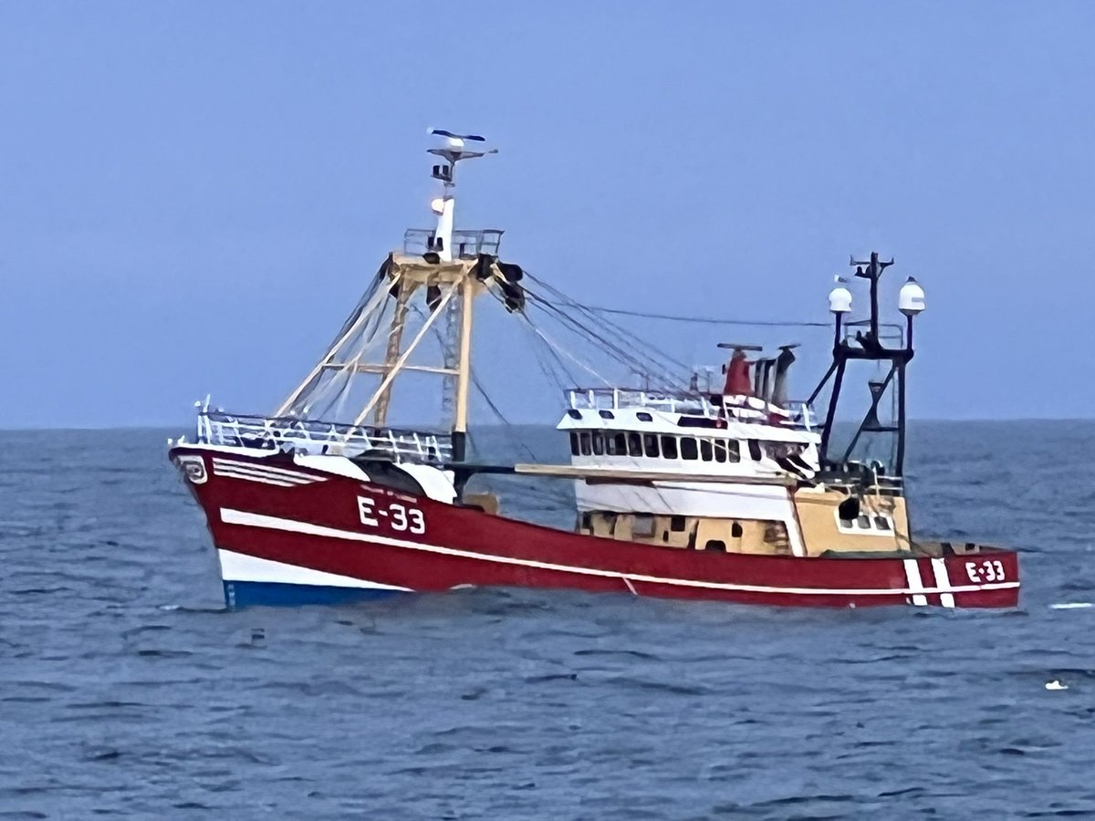 Sprat (@sprat_bm) on Twitter photo William of Ladram #eatmorefish #fish #fishing #uselessunlessworn #Devon <a href="/BrixhamLovell/">Helen lovell</a> <a href="/MitchSmith_Pics/">Mitchsmith_photography</a> <a href="/Brixhamfishmkt/">Brixham Fish Market</a> <a href="/seanbeck68/">Sean Beck</a> 😉 <a href="/ThroughTheGaps/">Fishing News Live</a> ⚓️🐟 William of Ladram #eatmorefish #fish #fishing #uselessunlessworn #Devon <a href="/BrixhamLovell/">Helen lovell</a> <a href="/MitchSmith_Pics/">Mitchsmith_photography</a> <a href="/Brixhamfishmkt/">Brixham Fish Market</a> <a href="/seanbeck68/">Sean Beck</a> 😉 <a href="/ThroughTheGaps/">Fishing News Live</a> ⚓️🐟