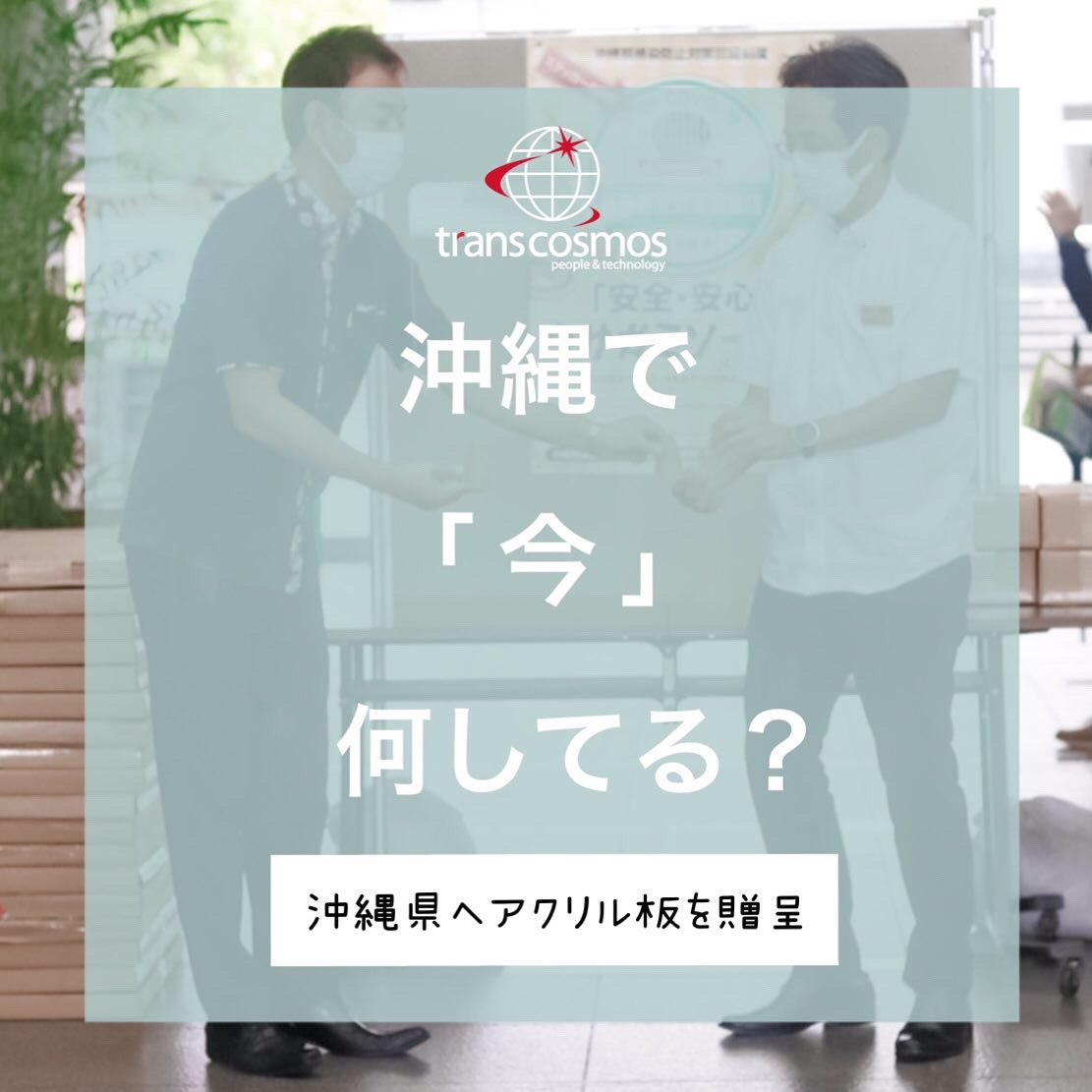 トランスコスモス Twitter Search Twitter