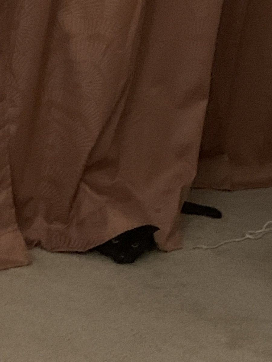 Pocketeats's tweet photo. I spy something cute 👀 oh wait, that’s me https://t.co/c6Te2FUEe2