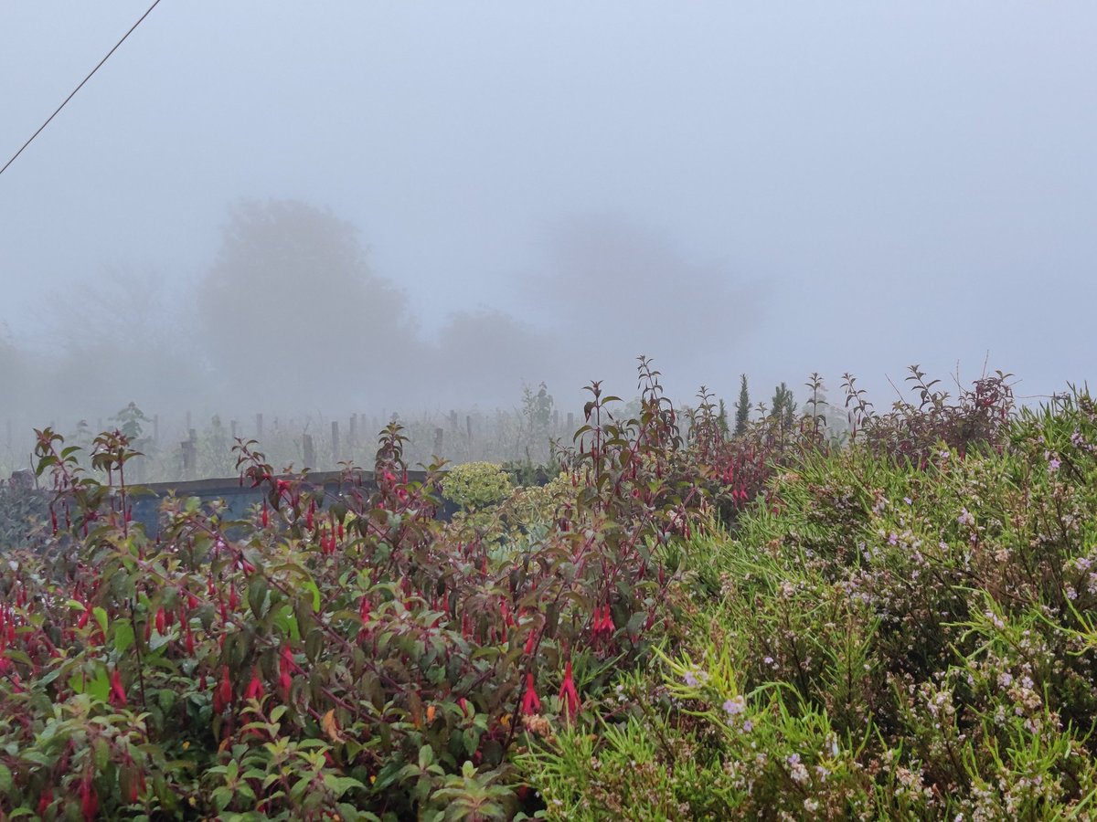 AlmostSenseless's tweet photo. The #ViewFromTheLoo is a little limited this morning. https://t.co/PHgfLO65sf