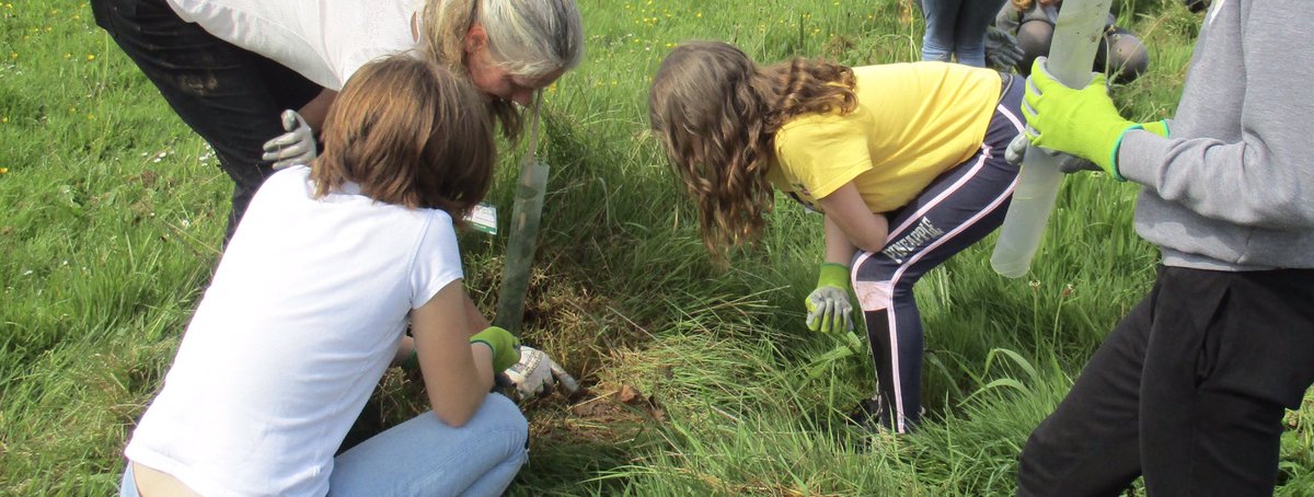 Children from Y6 Eco Council have been out in the community helping Nailsea Town Council support the rewilding project carried out by NSC last year. They spent the morning removing plastic tree guards and weeding around the newly planted trees that have survived on Hawthorn Way.