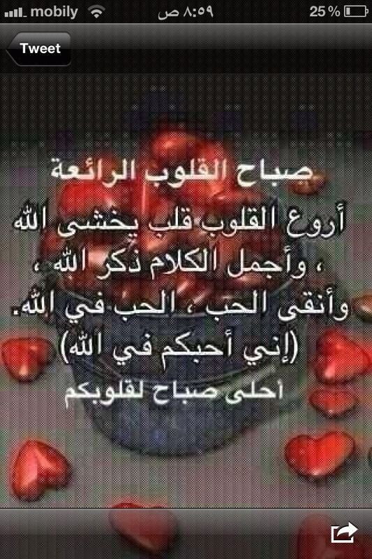 𝐀_𝐙𝐈𝐂𝐎_ tweet media