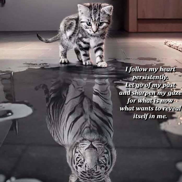 MandyFrster3's tweet photo. I cannot accomplish great things - only small ones, but those with great love.
ππππ«βΎοΈβοΈπ»βΈοΈππ§‘β€οΈπ
@Sunflower2811
@gulfkanawut @MSuppasit
#picoftheday #sunflower2811 #yainong #khunphi #happiness #heart #followme #priyanka31880 https://t.co/8pjDRbWezo