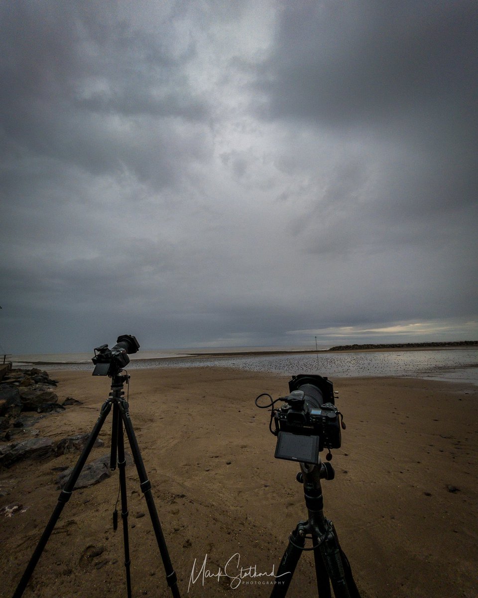 Exmoor Camera Club tweet media