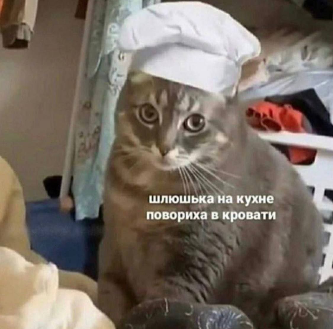 олег волков би лайк