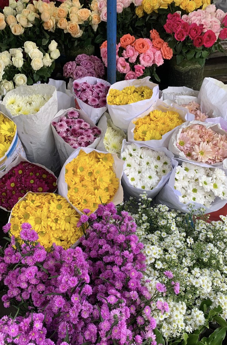guys aku mau sharing tips gimana cara simpen bunga biar awet!

kmrn bunga dr pacarku udh hampir 2 minggu masih seger bgt gak layu/busuk 🤍🌷